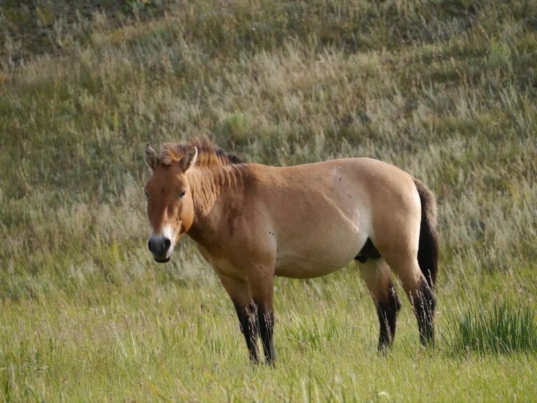 6251937886 68b95fd706 B