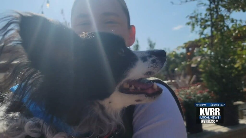 4 Luv Of Dog