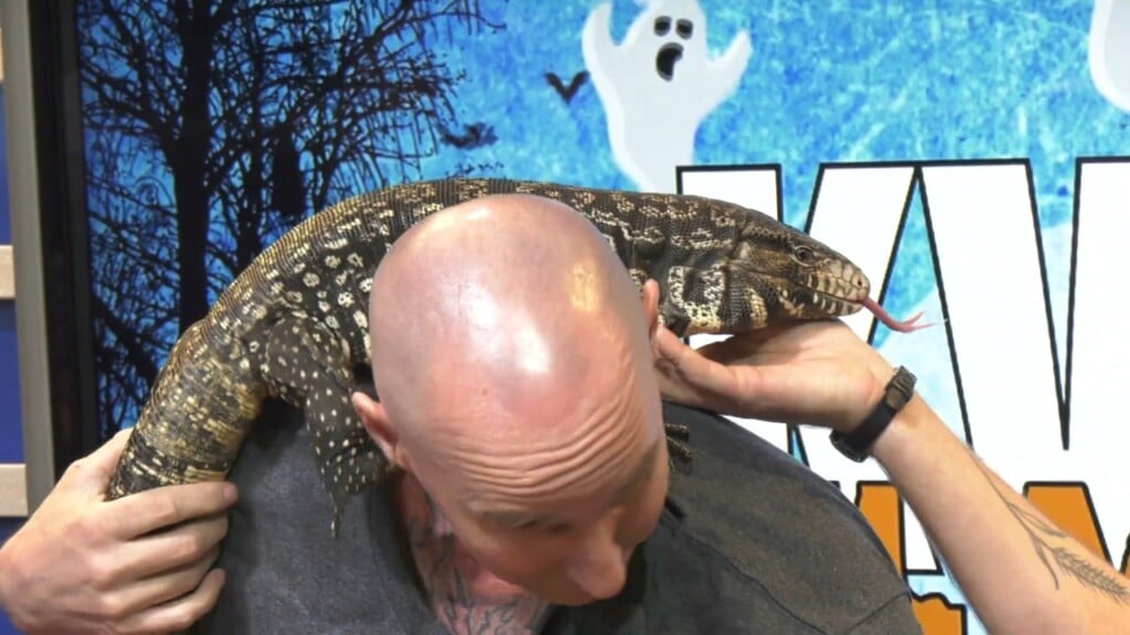 Exotic Pet Expo