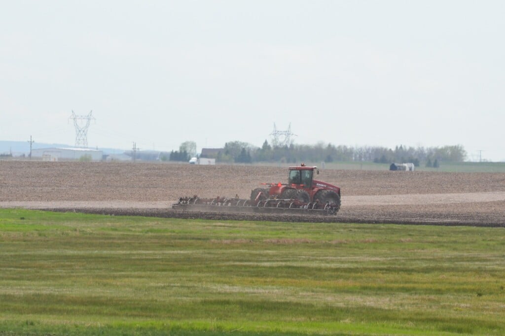 Spring Planting Scaled