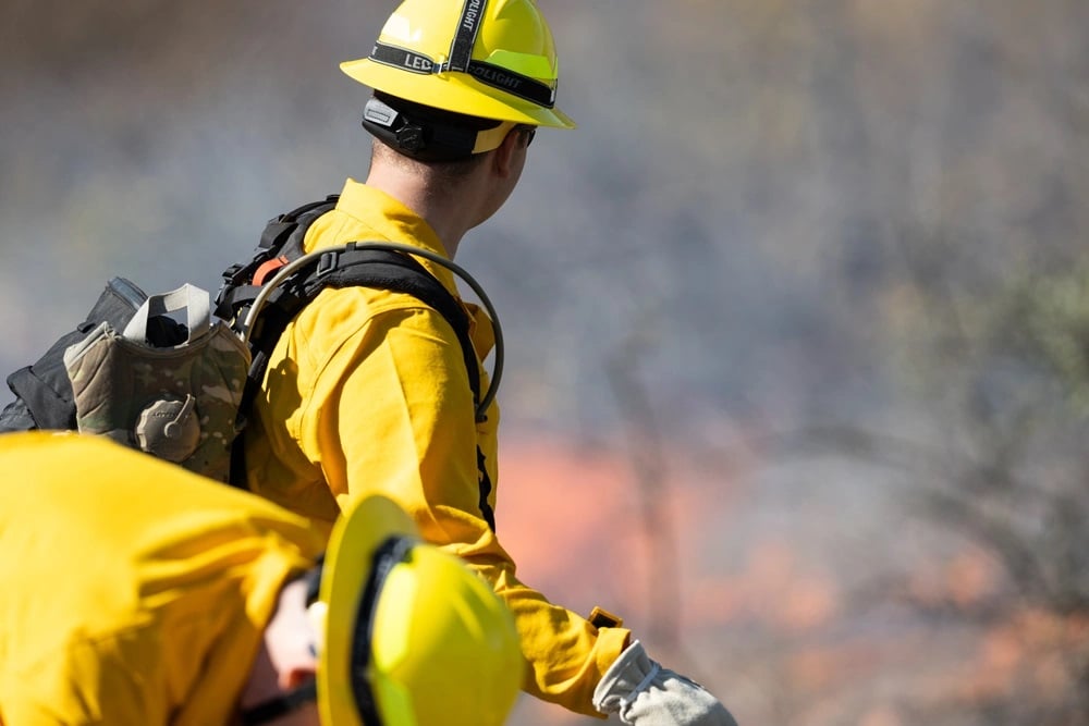 Wildfire National Guard