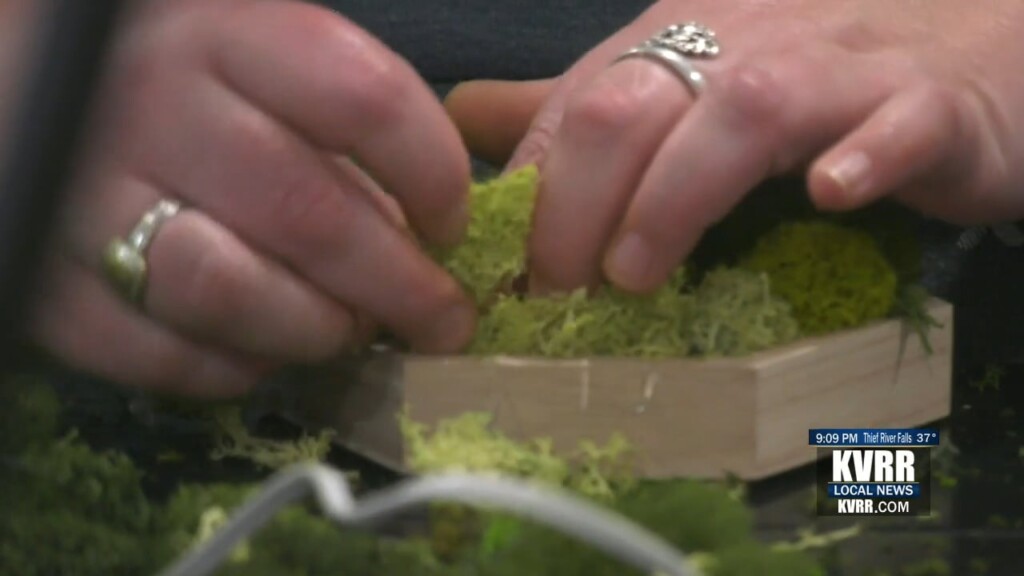 Moss