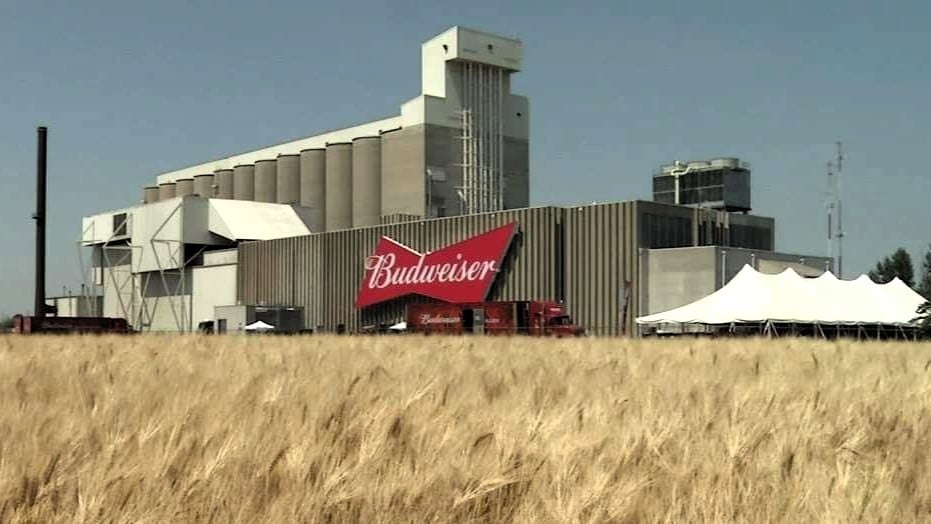 Malt Plant Image
