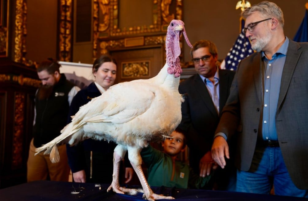 Mn Turkey