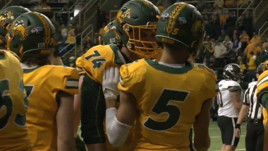 Bison Fb