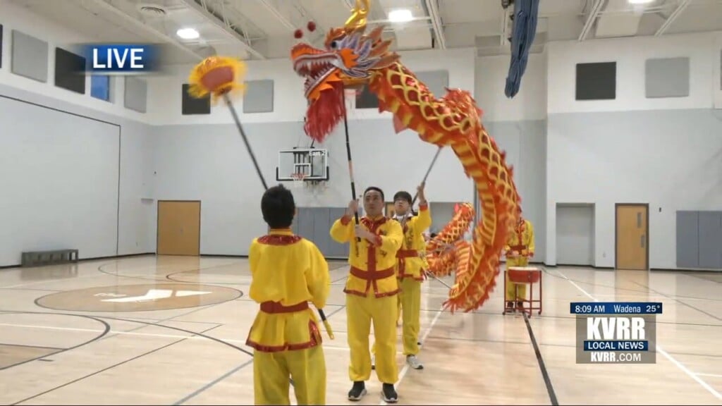 Lunar New Year 3