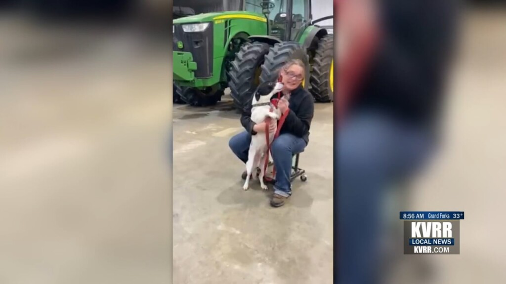 Pet Connection: Meet Clevus