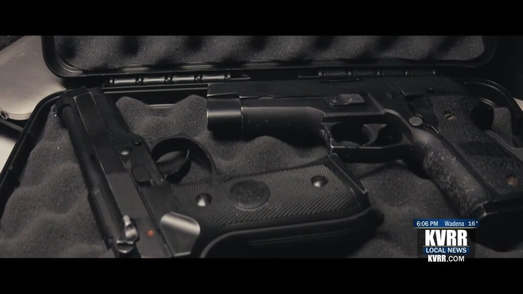Gun Sakes