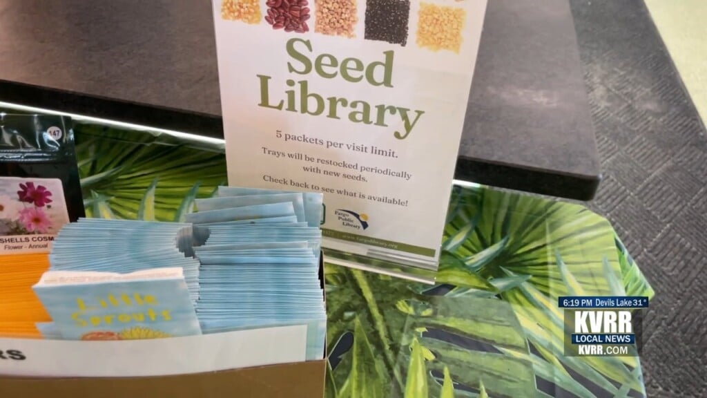 Seed