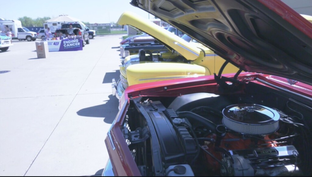 Cruise for a Cure