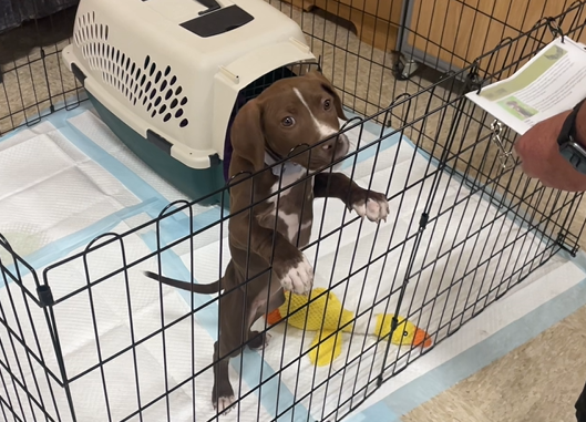 Turtle Mountain Animal Rescue