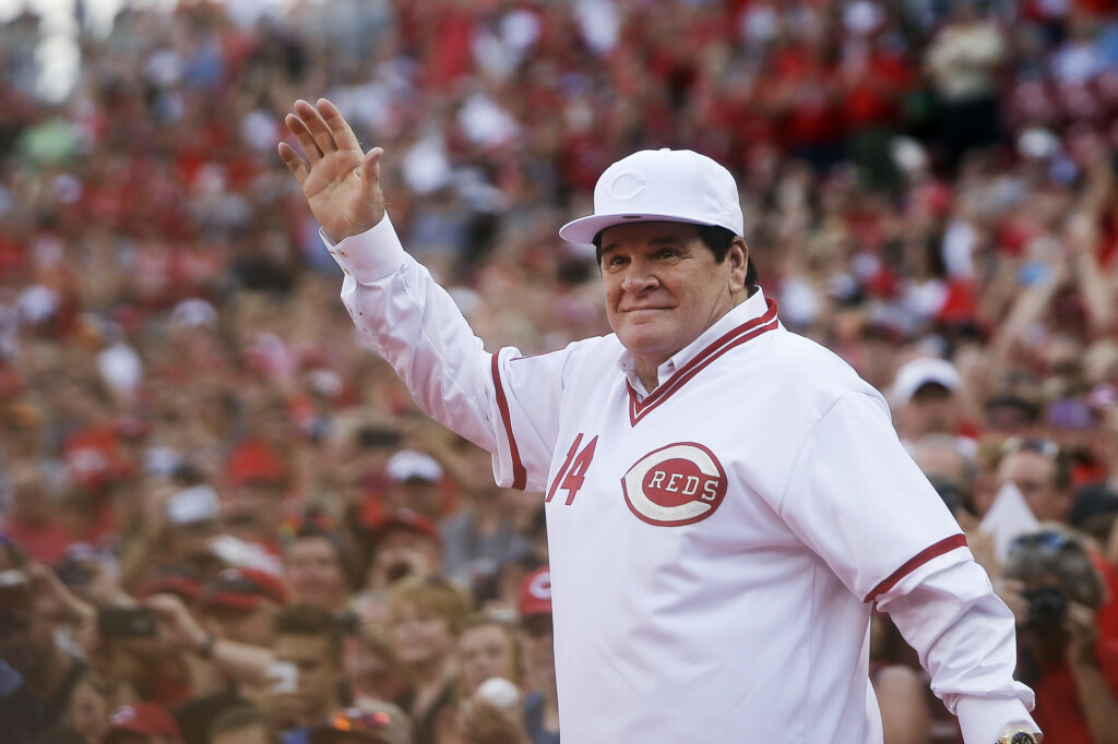 Rose Jackson Reinstated Baseball