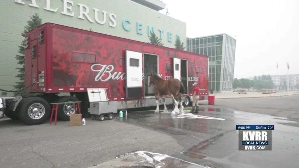Clydesdale