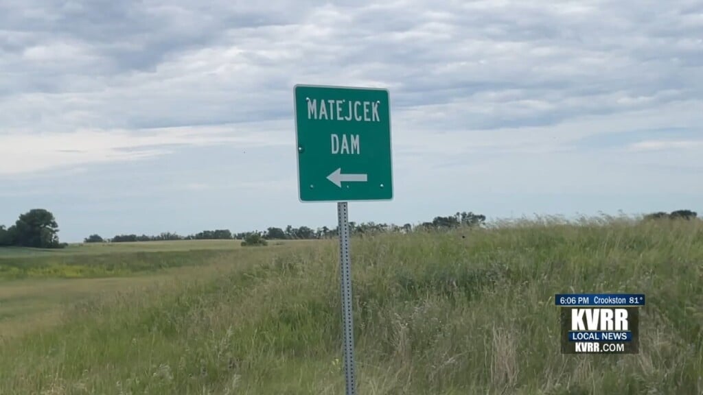 Matejcek
