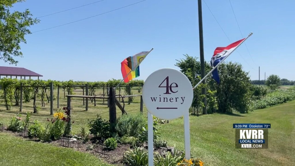 Wine