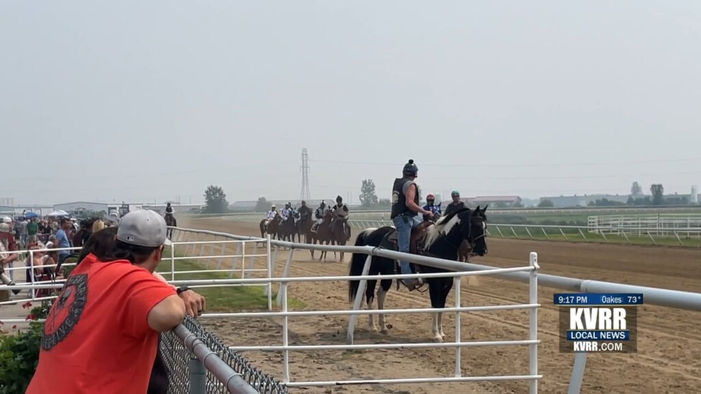 Horses