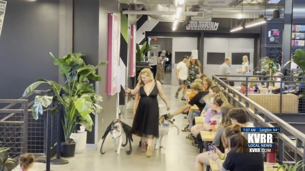 Pawject Runway