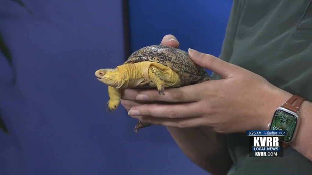 Zoo Brew Helps Care For Endangered Species At Red River Zoo
