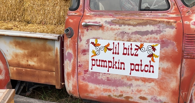 Lil' Bitz Pumpkin Patch