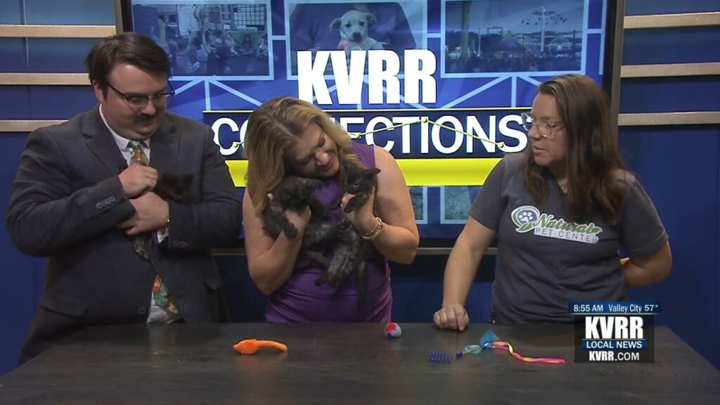 Werewolf Kitties