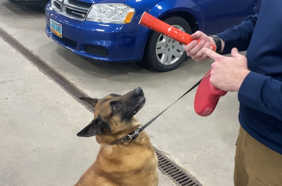 K9 Uno