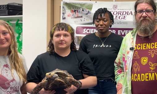 The Lab (tortoise)