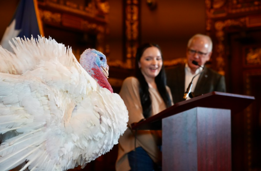 Screenshot 2025 11 25 200234