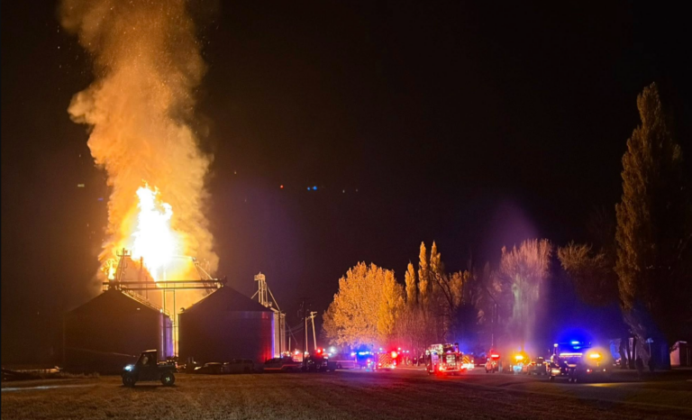 Screenshot 2025 11 05 183939