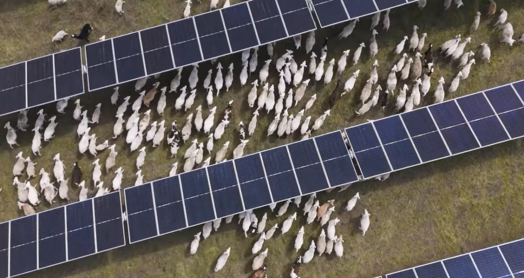 Screenshot 2025 11 03 164633