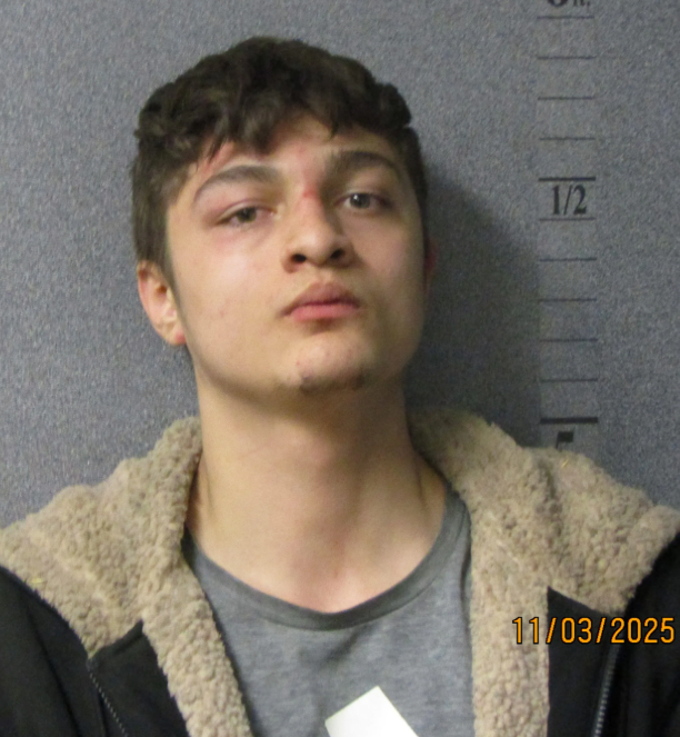 Ethan Perales 110425