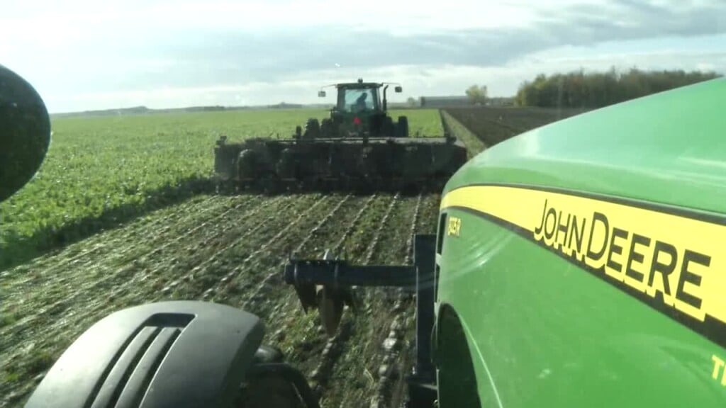 Sugar Demand Is Down And Prices Takes A Major Decline