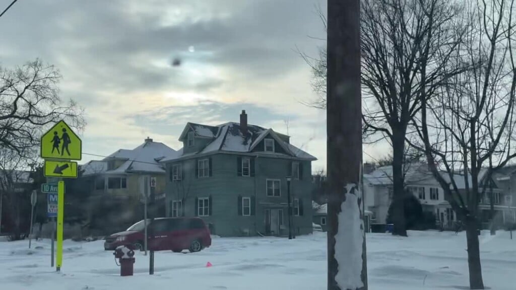 Drivers Prepare For Cold And Trees Become Subject Of Social Media Speculation