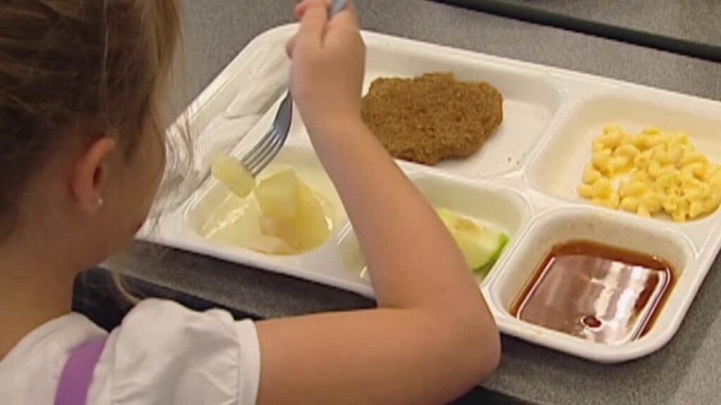 Coalition Working To Gather Signatures For Free School Lunches In North Dakota