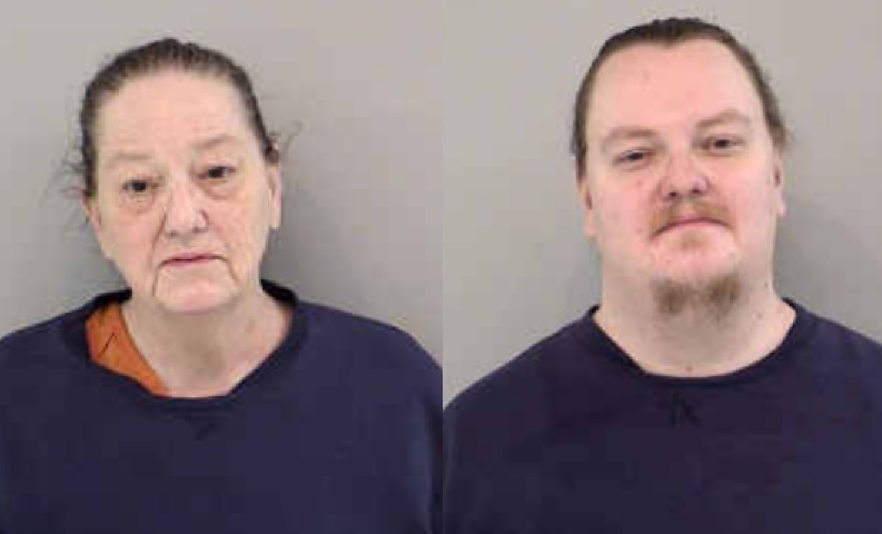 Screenshot 2026 02 12 152244