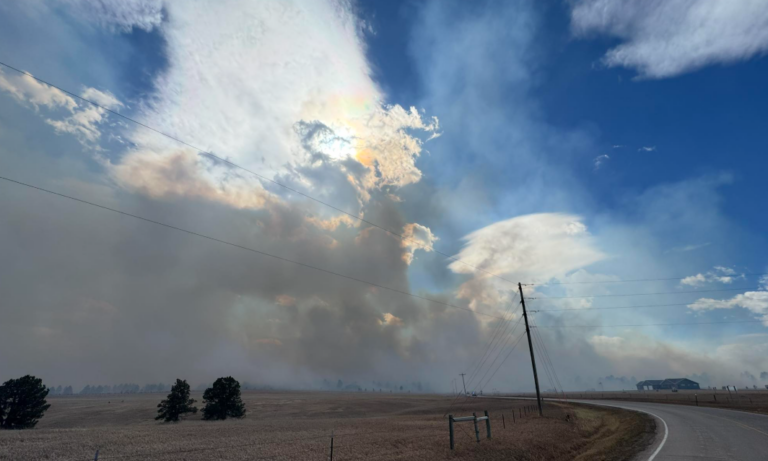 Screenshot 2026 03 18 202110