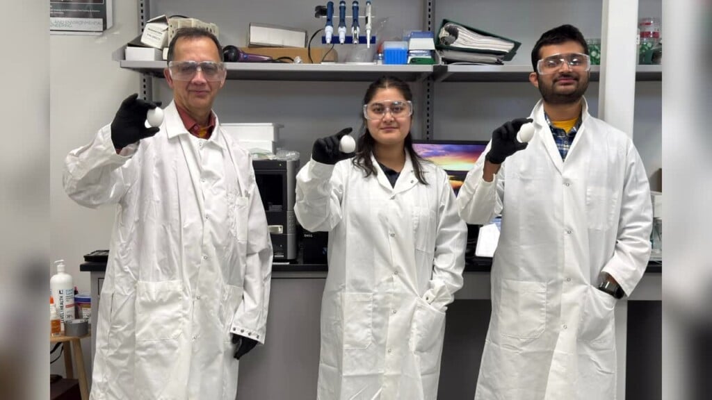 Local Researchers Discover Use Of Egg Whites Combats Pfas