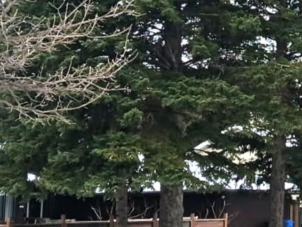 Bc9ca84e E154 4dc7 9fdd 57f26d21a24c