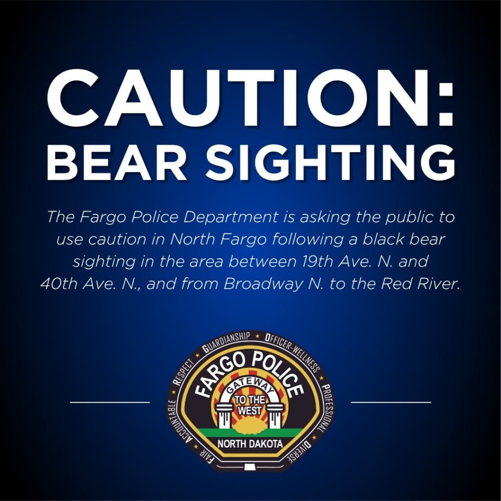 668224680 1392934539534316 7062780178658641041 N