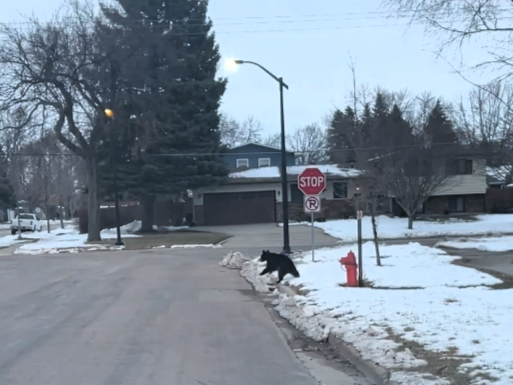 Screenshot 2026 04 09 112503