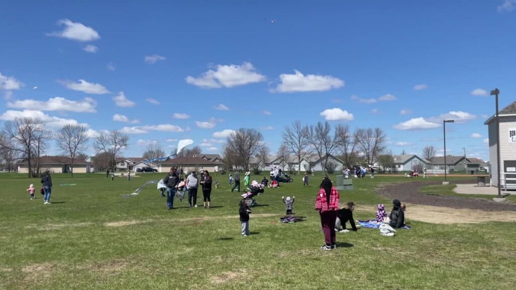 Second Kite Festival In Dilworth Sees Massive Turnout