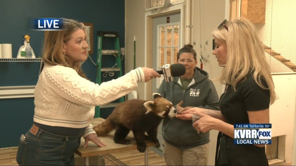 Pandas