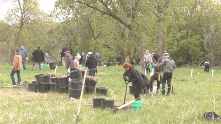 Riverkeepers Tree Planting 2026