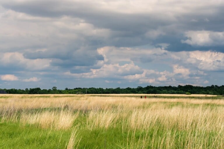 Glyndon Buffalo River State Park 1 Visit Fargo Moorheadjpg 1536x1024