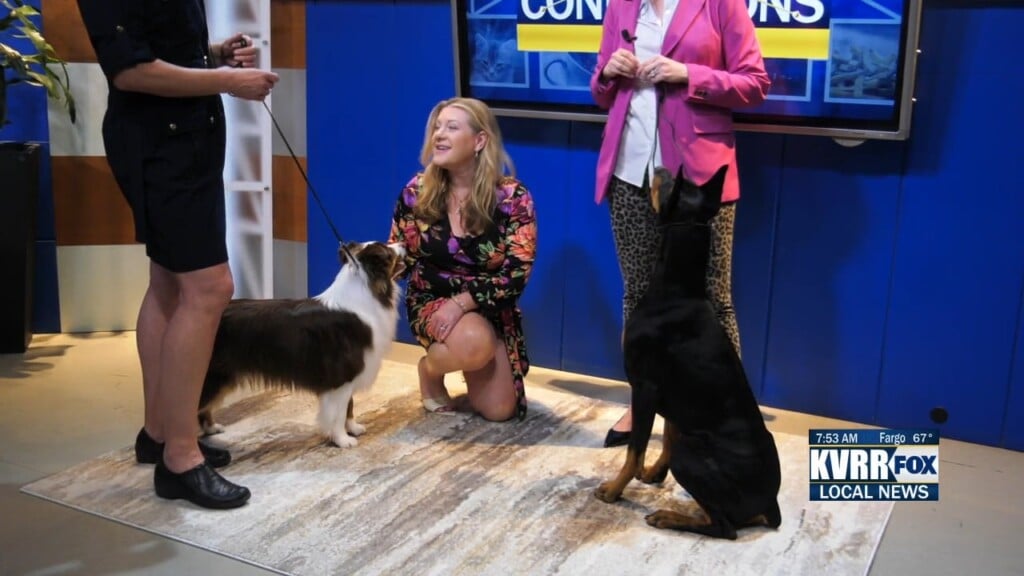 Dog Show!