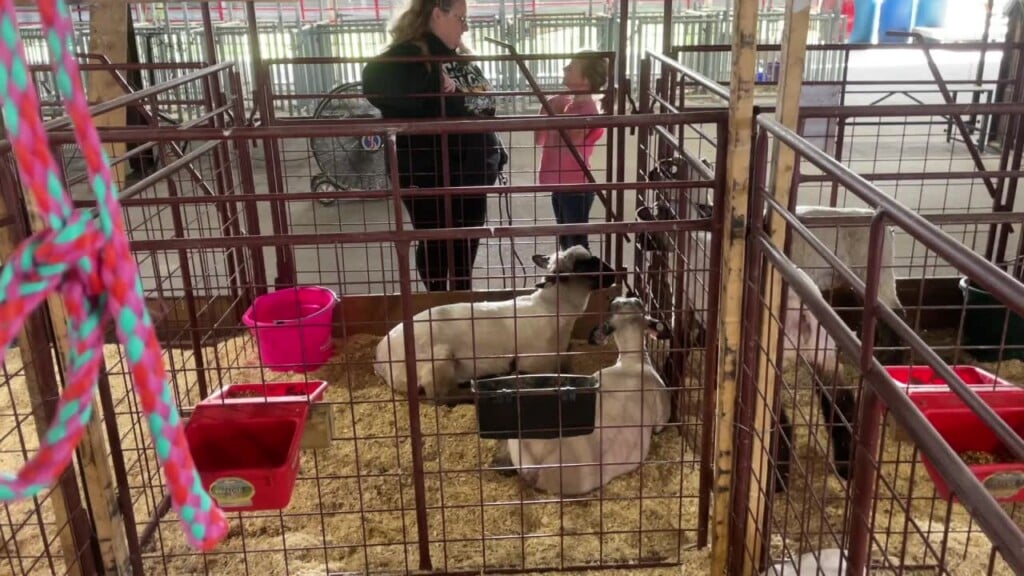 Barnyard Beginners, Part 2