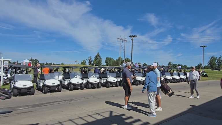 Golfers