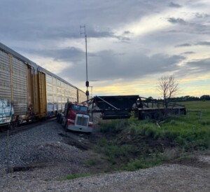 Hamberg Semi V Train