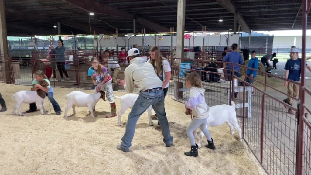 Barnyard Beginners, Part 3