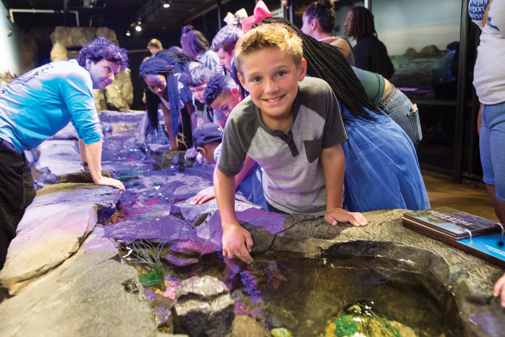Ad Aquarium