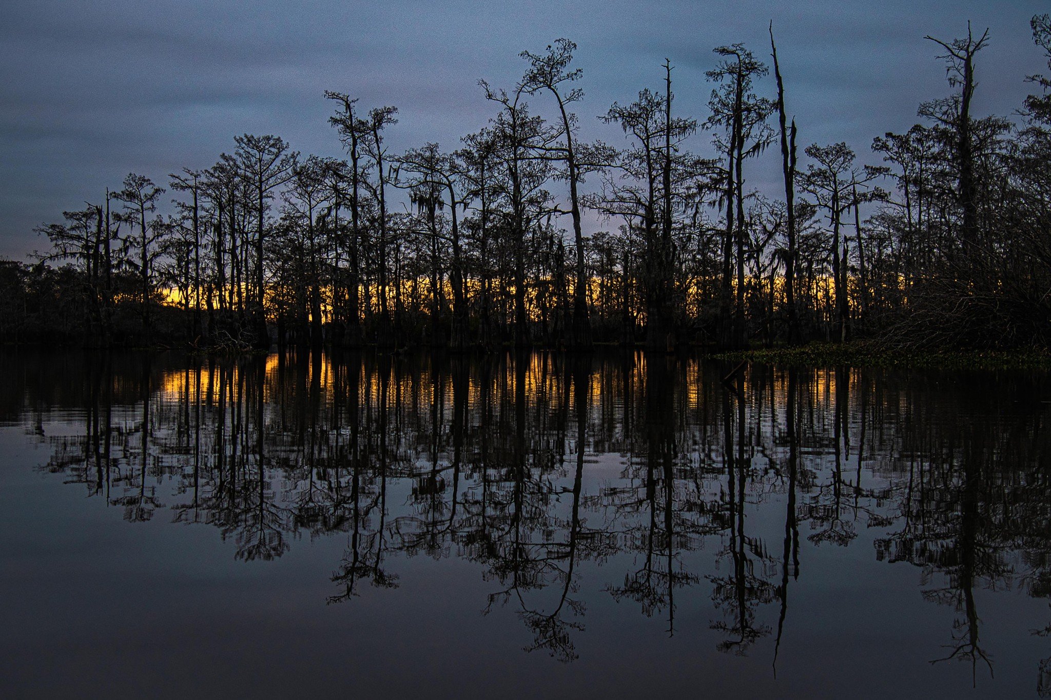 Atchafalaya Basin